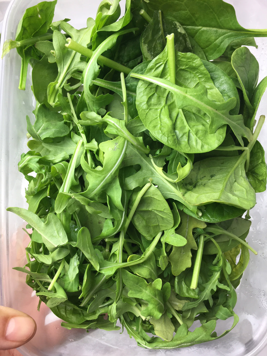 Organic Food