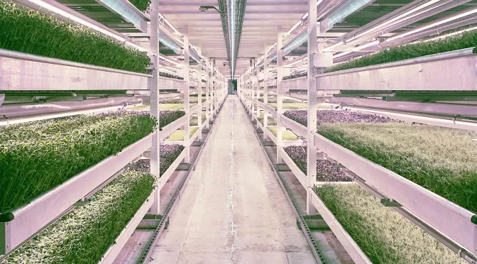 Benefits of Vertical Farming