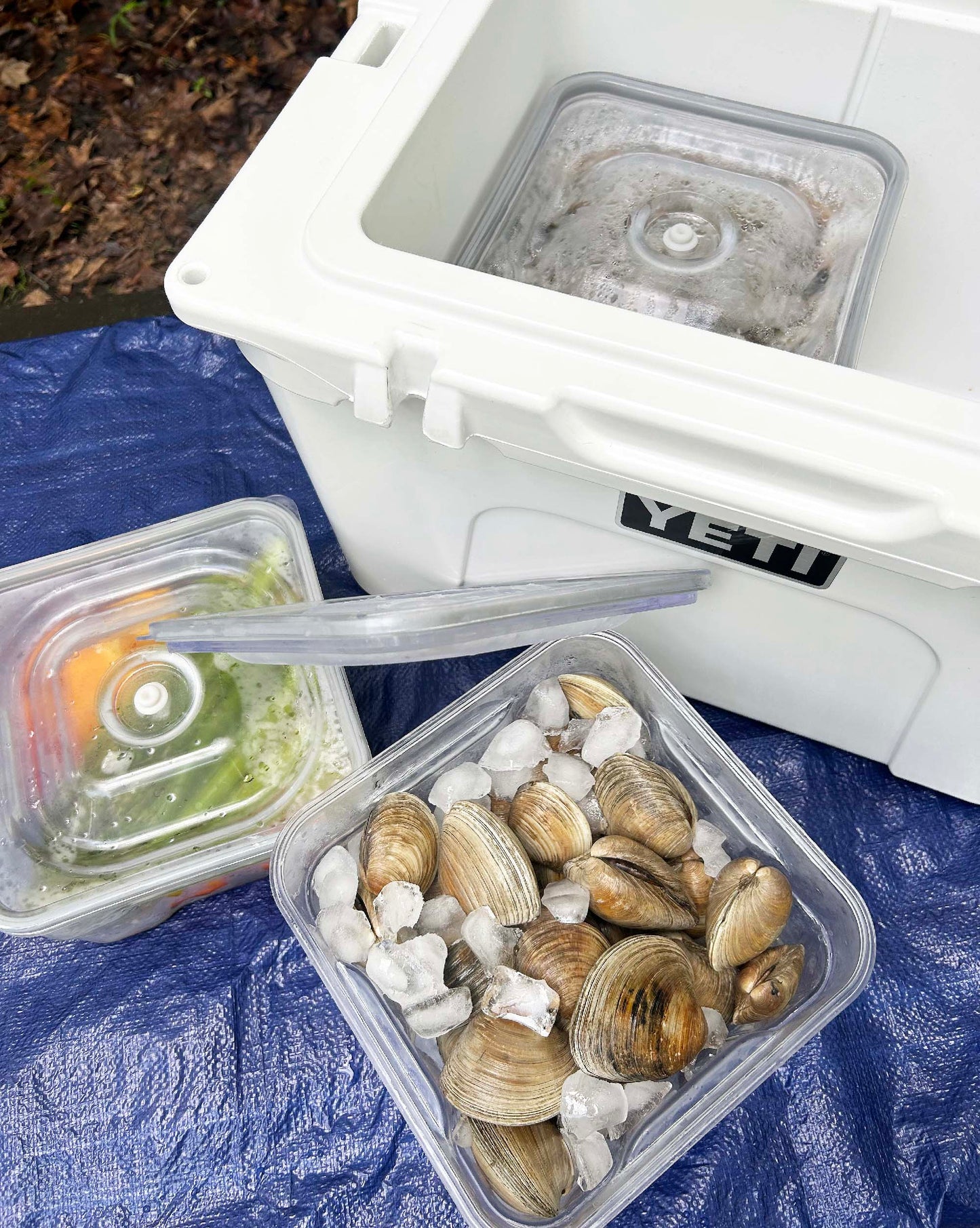 Marinating Vacuum Container Pro - 2L, Square, Full TRITAN (Manual Vacuum Pump included)